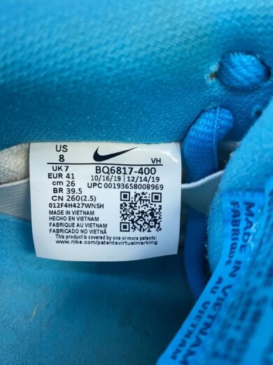 商品画像：SB DUNK LOW PRO_スケートボーディングダンクロープロ/26cm/BLU 5