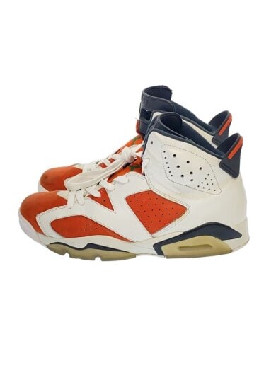 商品画像：AIR JORDAN 6 RETRO/エアジョーダンレトロ/ホワイト/384664-145/29cm/WHT 1