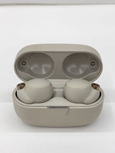 商品画像：イヤホン・ヘッドホン WF-1000XM4 (S) [プラチナシルバー] 1