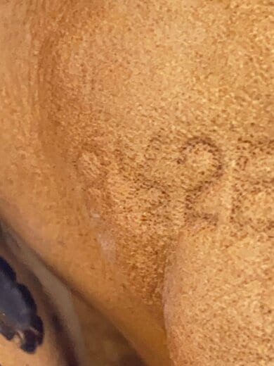 商品画像：ブーツ/US8.5 5