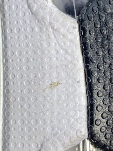 商品画像：AIR MAX SUNDER_エア マックス SNDR/28cm/YLW 7