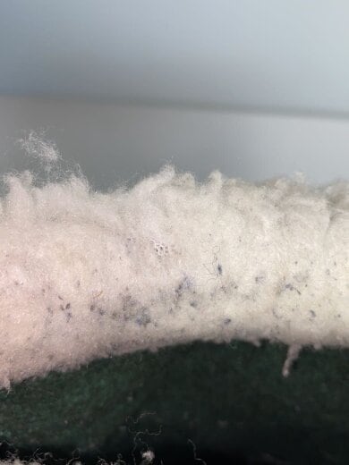 商品画像：ブーツ/25cm/CML/NL1005-280/カリブー 7