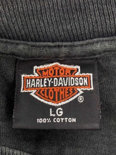 商品画像：Tシャツ/L/コットン/GRY/USA製/シングルステッチ/破れ/穴あき有 3