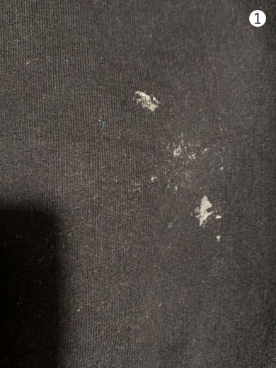 商品画像：00s/C2006/LED ZEPPELIN US TOUR 1971/Hoodie/パーカー/XXL/コットン 7