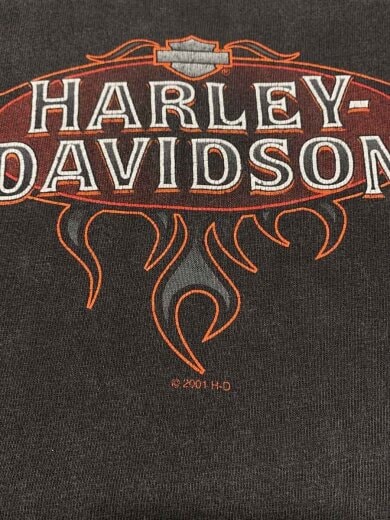 商品画像：00s/C2001/Flame Print/フレイム/背面エンジン/フェード/Tシャツ/XXXL/コットン 5