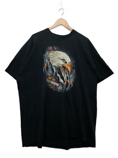 商品画像：90s/MADE IN USA/EAGLE CLAW/イーグルヘッド/Tシャツ/XXXL/コットン// 1