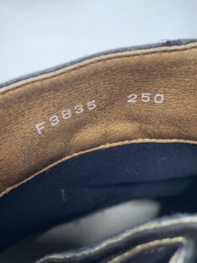 商品画像：TOP DRY/GORE-TEX/ブーツ/25cm/BLK/AF38351// 5