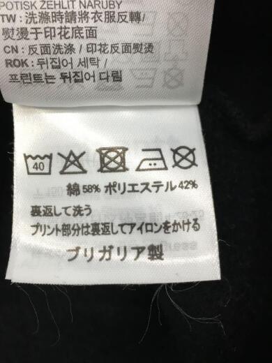 画像：CarharttHooded DFA Sweat/パーカー/L/コットン/ブラック4