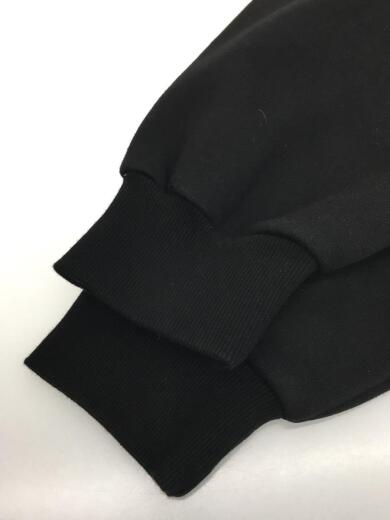 画像：CarharttHooded DFA Sweat/パーカー/L/コットン/ブラック5