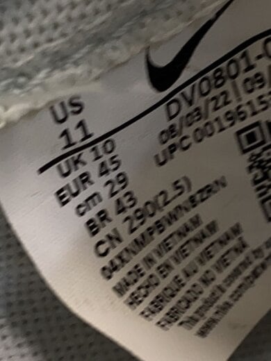 商品画像：BLAZER LOW 77 PRM_ブレーザー ロー 77 プレミアム/US11/GRY 5