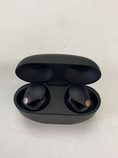 商品画像：イヤホン WF-1000XM5 3