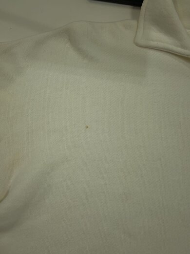 商品画像：スウェット/XL/コットン/プリント 4