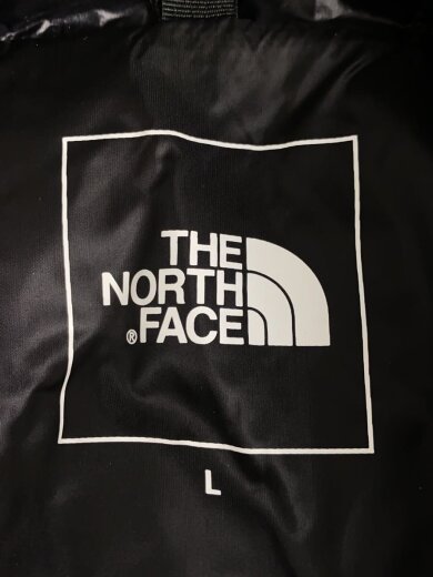 商品画像：POLARIS INSULATED HOODIE/L/ナイロン/ブラック/無地/NY81902 3