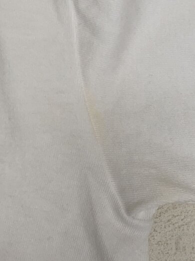 商品画像：Tシャツ/M/コットン 6