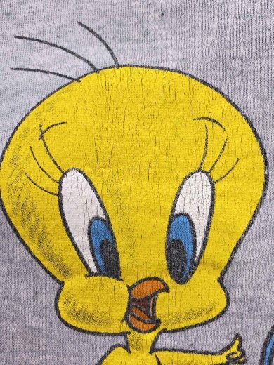 商品画像：ULTIMATE SPORTS WEAR/スウェット/XL/ポリエステル/GRY/プリント/トゥイーティー 5