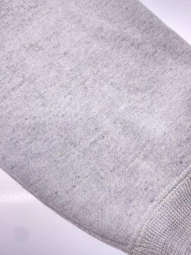 商品画像：ULTIMATE SPORTS WEAR/スウェット/XL/ポリエステル/GRY/プリント/トゥイーティー 6