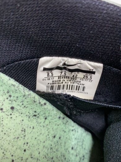 商品画像：SB ZOOM DUNK LOW PRO/ズームダンクロープロ/ブラック/854866-003/26.5cm/B 5