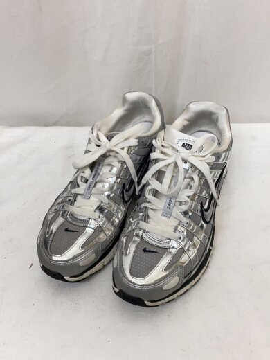 商品画像：P-6000/27cm/SLV 2