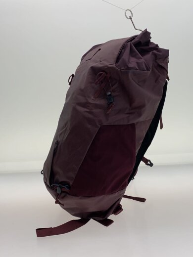 画像：その他ブランドドラゴンフライ/34/BLUE ICE/リュック/ボルドー/無地2