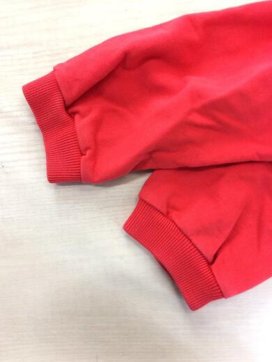 画像：Gosha Rubchinskiy15AW/Flag Logo Hoodie/パーカー/S/コットン/RED5