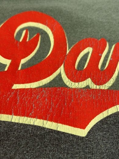 商品画像：00s/steely dan/2007年/Tシャツ/S/コットン/KHK/プリント 9