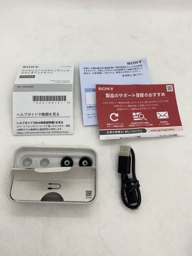 商品画像：イヤホン・ヘッドホン WF-1000XM4 (B) [ブラック] 2