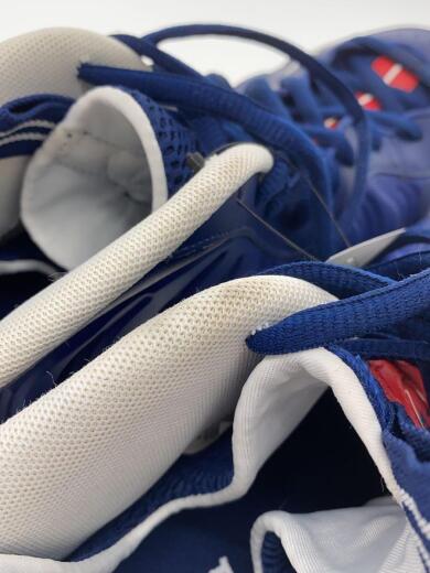 画像：NIKEir Foamposite Pro Blue Void University Red/26.5cm/BLU6