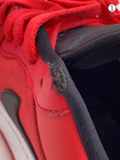 商品画像：AIR JORDAN 1 LOW_エアジョーダン 1 ロー/27.5cm/RED// 8