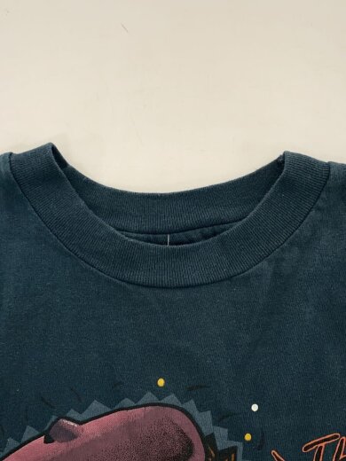 商品画像：90s/USA製/シングルステッチ/Tシャツ/L/コットン/ネイビー 8