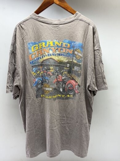 商品画像：2017/ハーレーガール/Tシャツ/XXL/コットン/グレー// 2