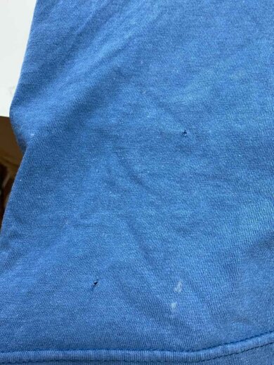 商品画像：Hanes BEEFY-T/Tシャツ/XL/コットン/ブルー/PLP1772U// 7