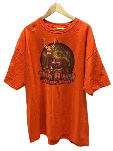 商品画像：Hanes BEEFY-T/Tシャツ/--/コットン/オレンジ// 1