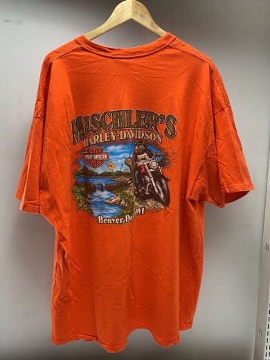 商品画像：Hanes BEEFY-T/Tシャツ/--/コットン/オレンジ// 2
