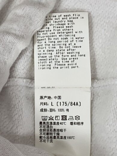 商品画像：スウェット/L/コットン/WHT/無地/001SWI201001F 9