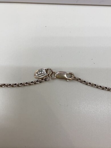 商品画像：ネックレス/サンシンボル/SV950/SLV/トップ有/メンズ 3