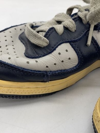 商品画像：TERMINATOR HIGH (VNTG)/ターミネーターハイビンテージ/グレー/318677-041/28cm// 9