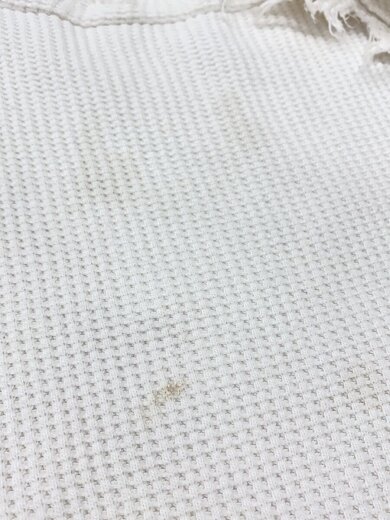 商品画像：カットソー/FREE/コットン/WHT// 7