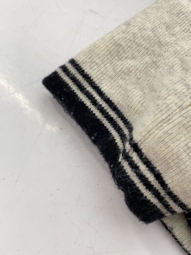 商品画像：スウェット/L/コットン/IVO/無地/FTC023AWSW10 7