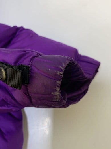 商品画像：1996 RETRO NUPTSE JACKET/ダウンジャケット/M/ナイロン/PUP/NF0A3C8D 6