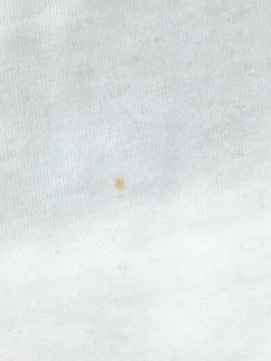 画像：AAPE BY A BATHING APE × TOMMY JEANSTommy Jeans flag polo/ヨゴレ有/ポロシャツ/L/コットン/WHT/AAPPOM9399XXE6