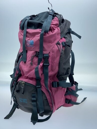 商品画像：cougar44-55/リュック/--/PNK 2