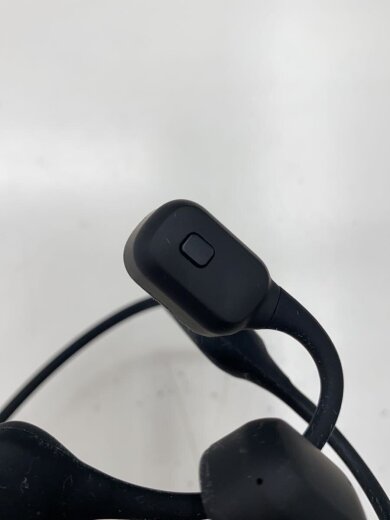 商品画像：イヤホン WB-K1// 6