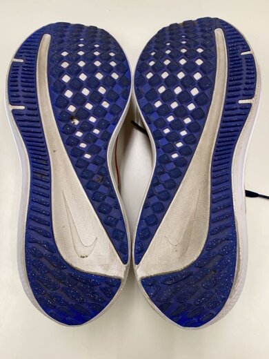 商品画像：AIR WINFLO 10_エア ウィンフロー 10/29cm/WHT 4