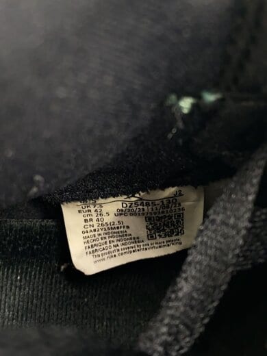 商品画像：AIR JORDAN 1 HIGH OG_エアジョーダン 1 ハイ OG/26.5cm/GRN 5