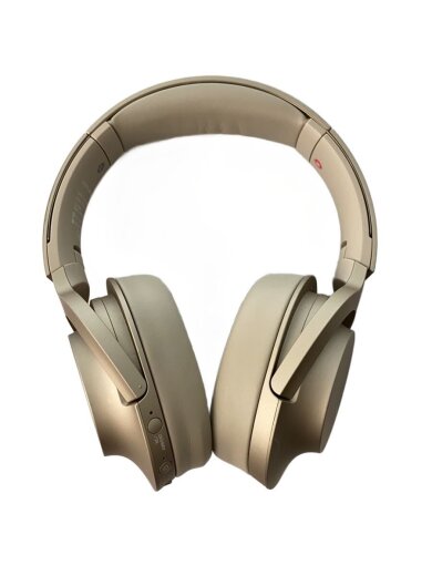 商品画像：ヘッドセット h.ear on 2 Wireless NC WH-H900N (N) [ペールゴールド] 1