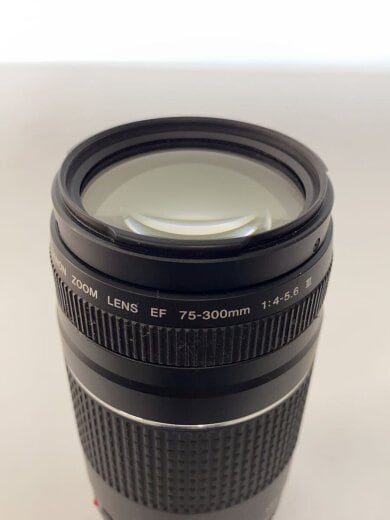 商品画像：レンズ EF75-300mm F4-5.6 III USM 5