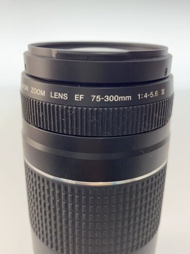 商品画像：レンズ EF75-300mm F4-5.6 III USM 6