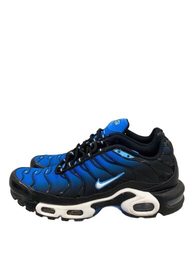 商品画像：AIR MAX PLUS_エア マックス プラス/25.5cm/BLU 1
