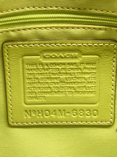 画像：COACHスモールキャリーオール_シグネチャー_ベージュ/キャンバス/GRN5