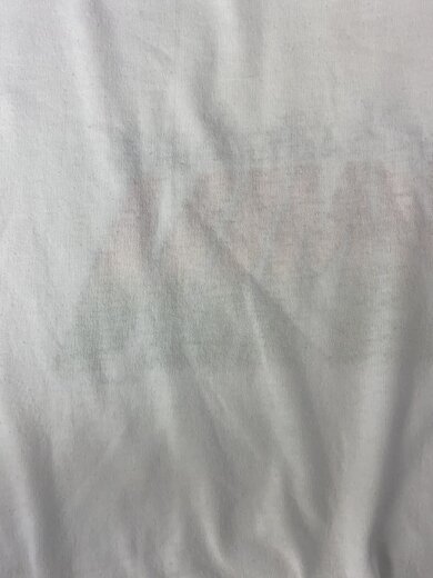 商品画像：USA製/JAMMIN/ラスタカラー/虫/アート/グラフィティ/Tシャツ/L/コットン/WHT/プリント// 9